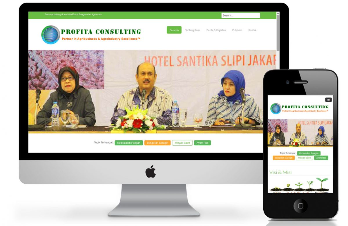 portofolio_profita_web